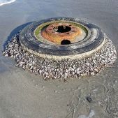 11313813_1691623017737425_883714771_n