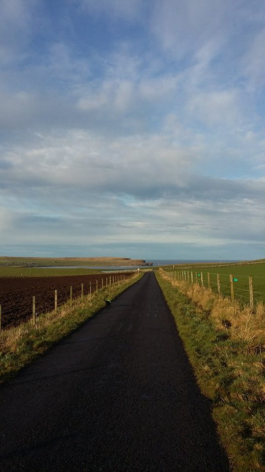 12965996_10154390118040995_163348665_n