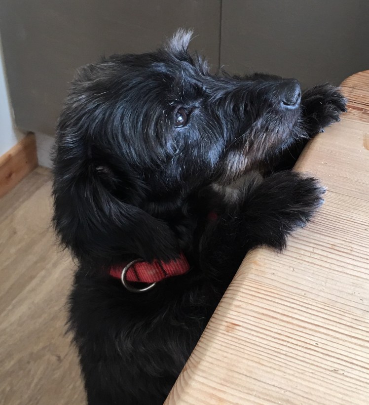 FullSizeRender 3.jpg