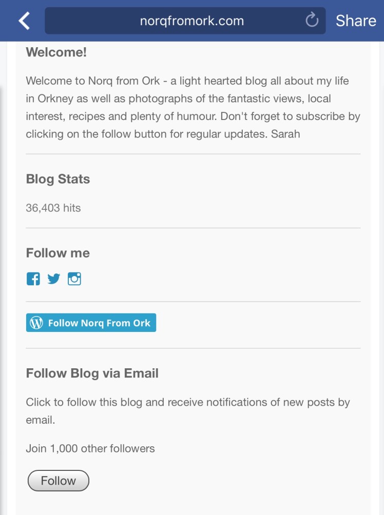 FullSizeRender 6.jpg