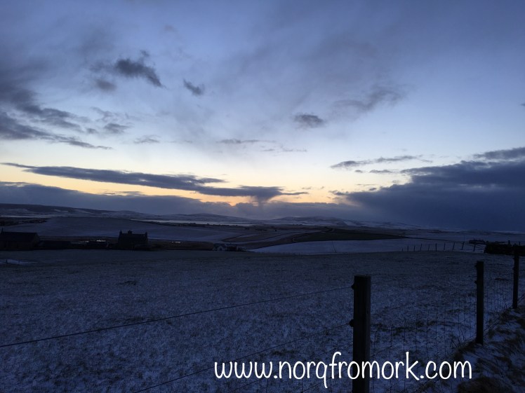 FullSizeRender 28.jpg