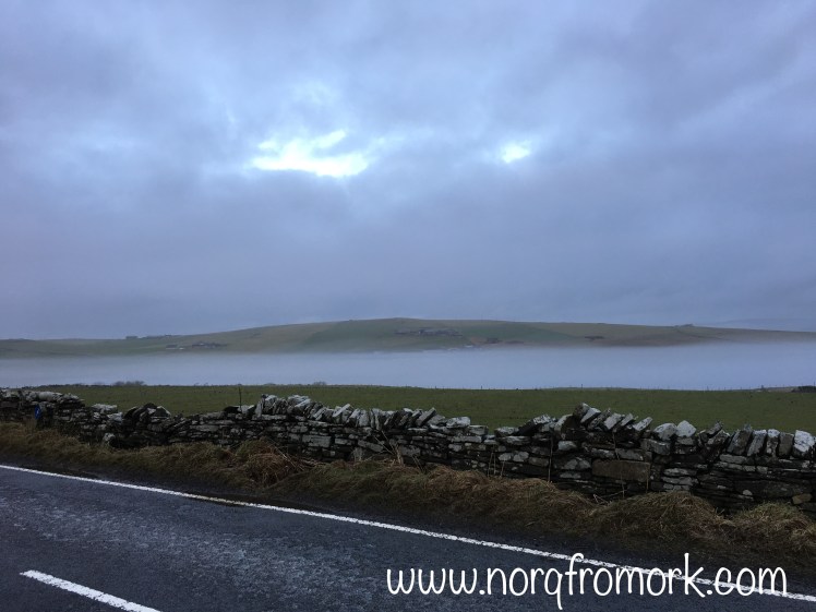 FullSizeRender 29.jpg