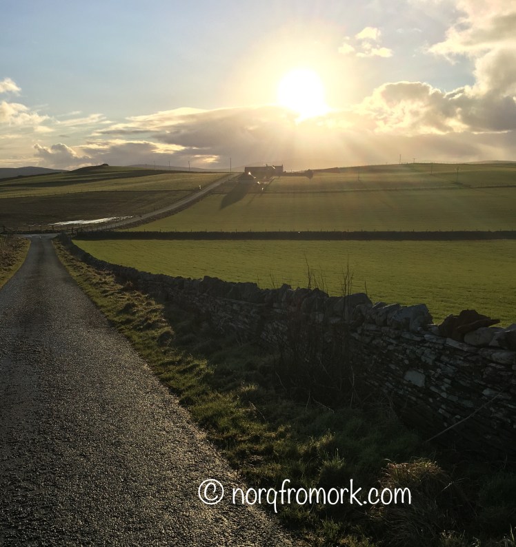 FullSizeRender 31.jpg