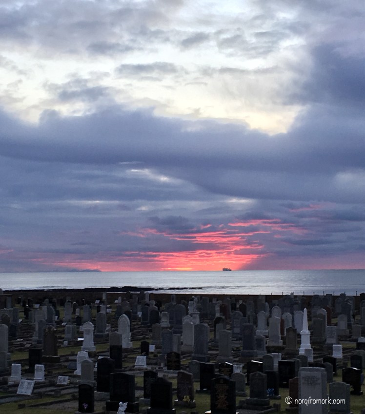 FullSizeRender 42.jpg