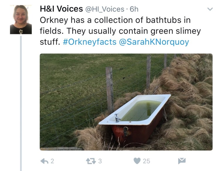 FullSizeRender 20.jpg