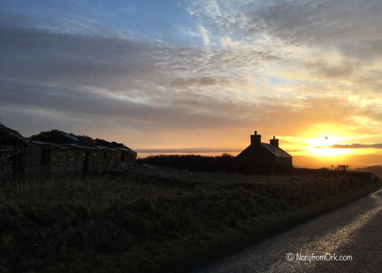 FullSizeRender 21.jpg