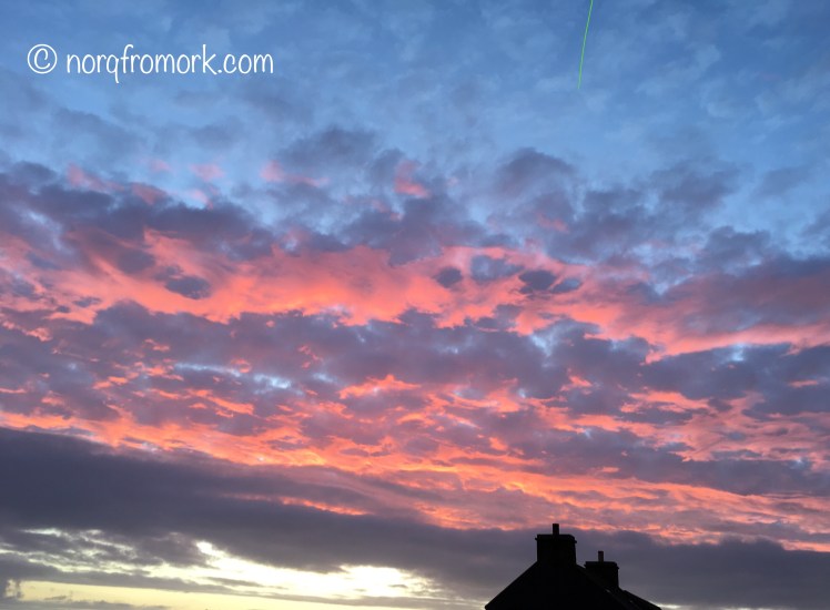 FullSizeRender 23.jpg