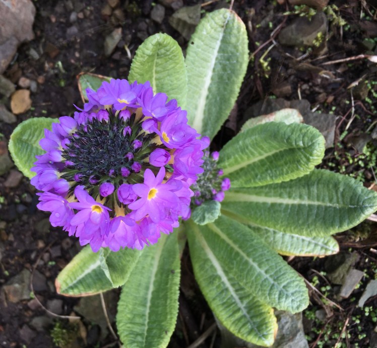 FullSizeRender 28.jpg