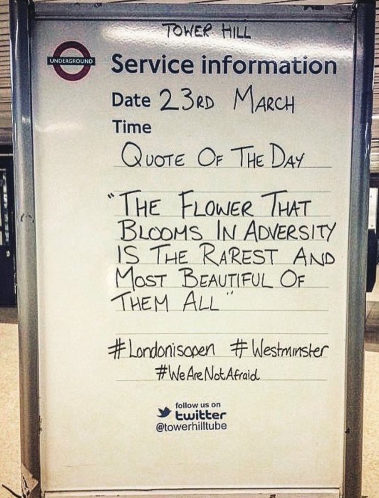 FullSizeRender 31.jpg