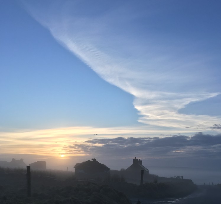 FullSizeRender 36.jpg