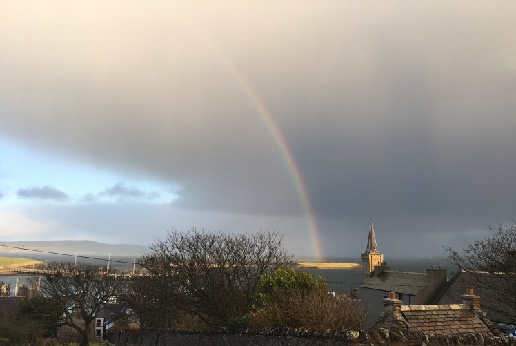 FullSizeRender 37.jpg