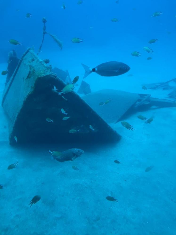 9fbc40e5-38a8-4131-9343-31fc063bfabf