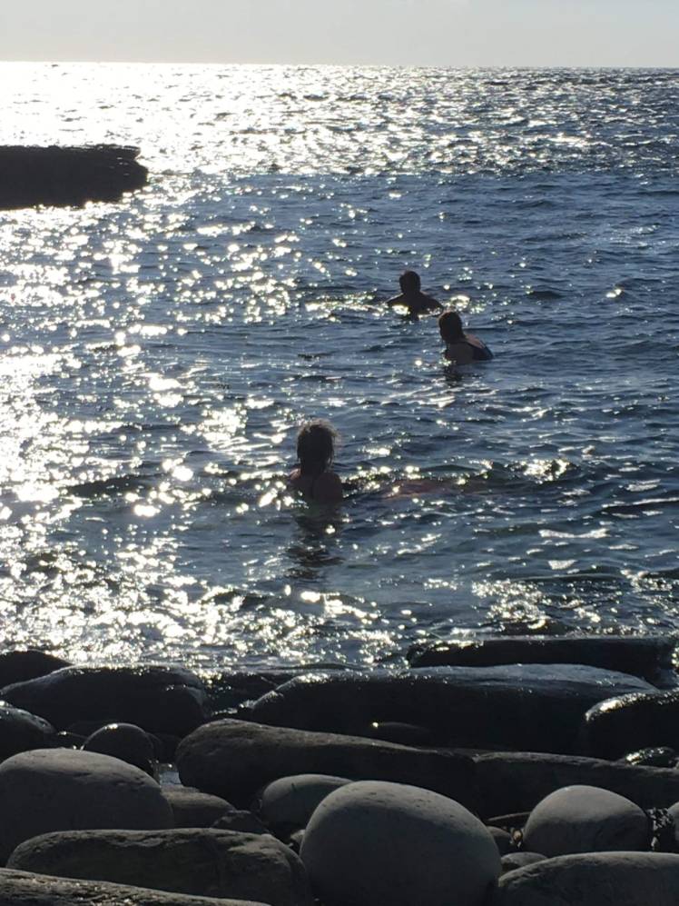 88faca97-61de-4a4b-b3fb-9e2ee91a3f67 2