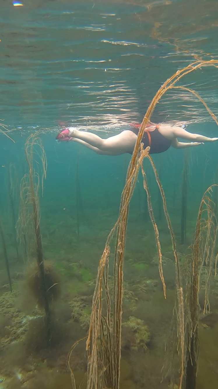 5785cf82-1b5a-492b-a03f-29e415720a47