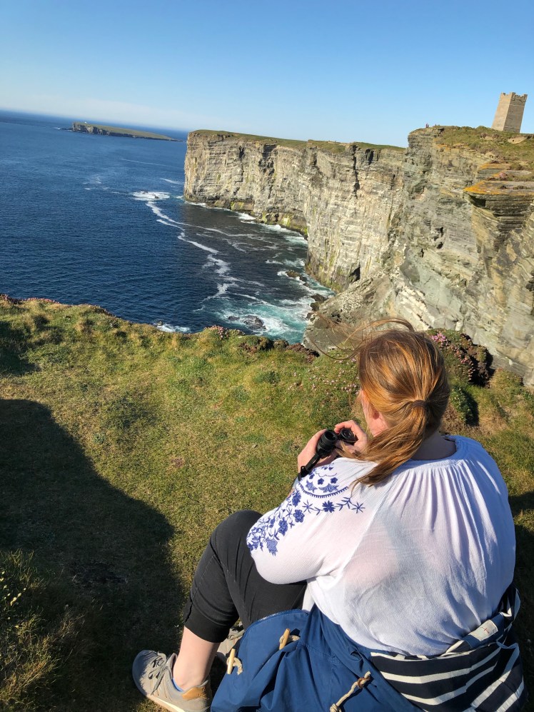 qdi1cqIPSgOvlOqvYTA1LQ