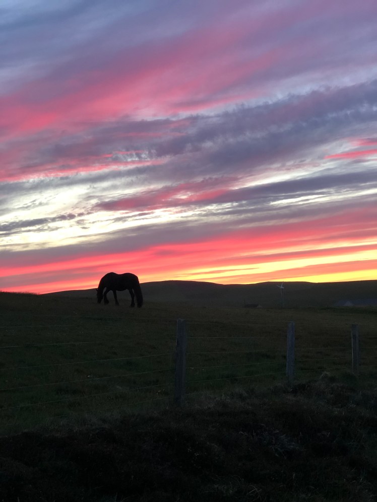 cTGyyF9GSLex1gPxKFJLrg