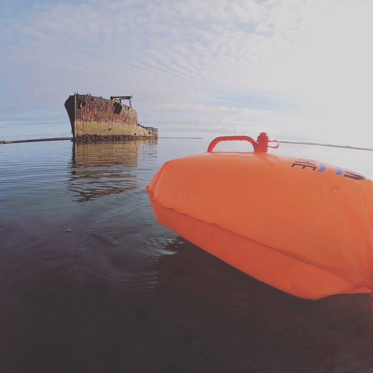 07F2241E-5067-4C50-BF76-89673C7EB475