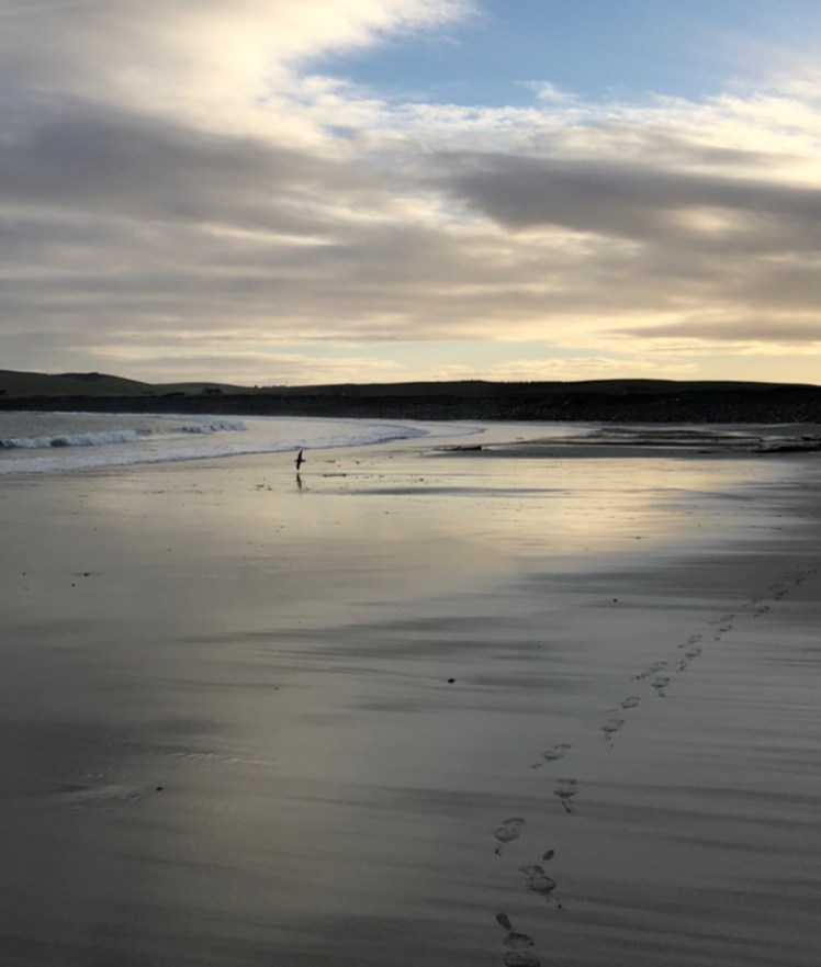 506F07DD-EF5D-49ED-86CC-2CC57AF8EDC4