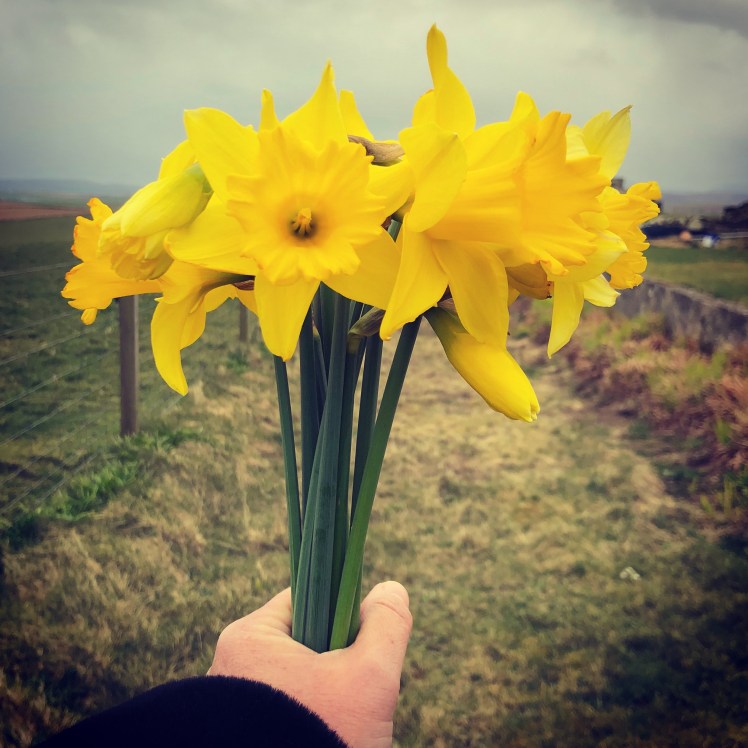 77CF463E-7082-44DE-84D3-94614A2EDC25