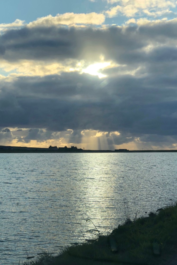 1A069EBE-371C-4F37-A856-EA9747082F3C