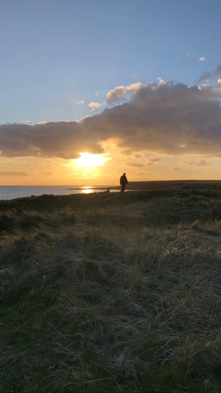 C3100F0D-1B5F-4E8C-85A1-06F6FA0DD644